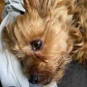 Meet your Posher, Londynn